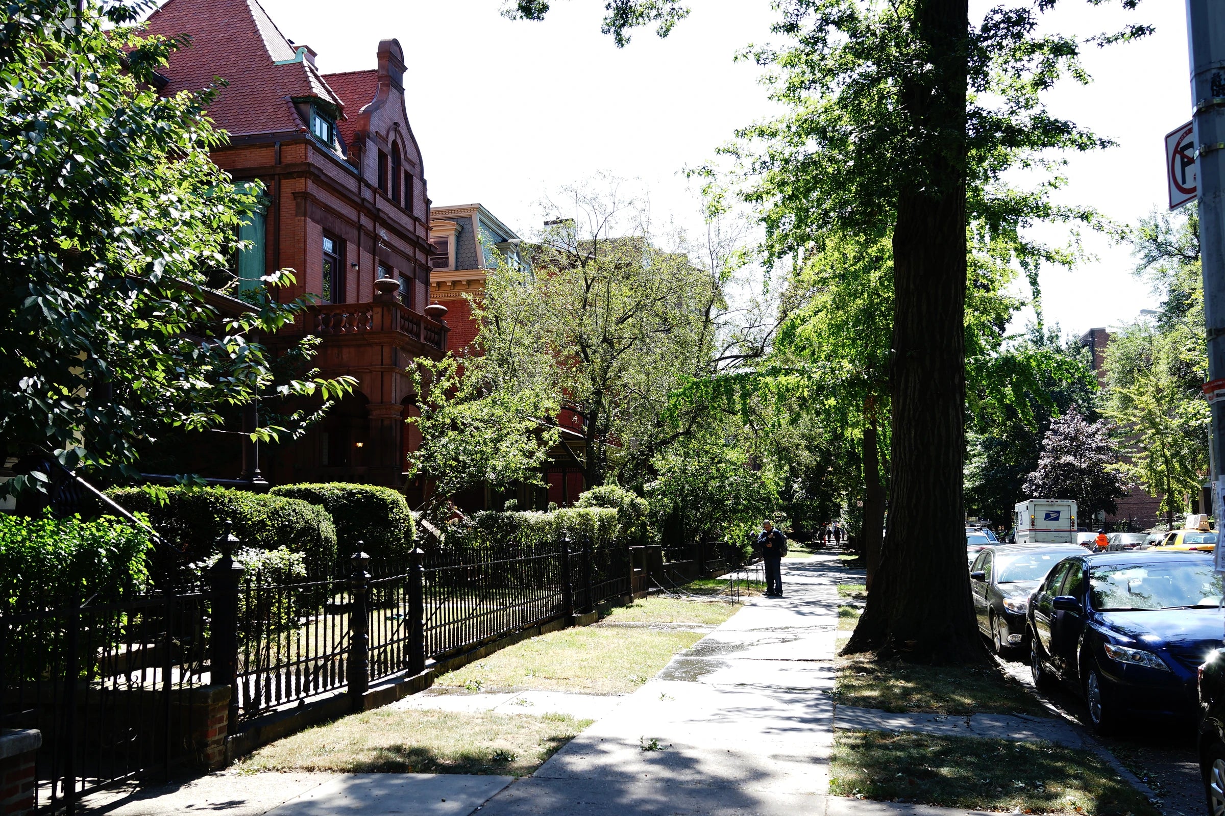 Residential buildings and trees on Clinton Avenue in Clinton Hill, Brooklyn